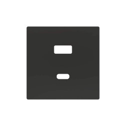 Накладка на USB-розетку Zennio ZS55 ZS55C2UCAA (Антрацит)