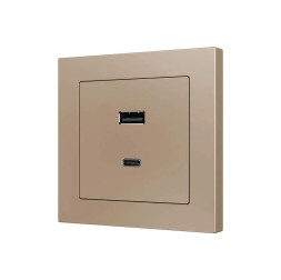 Накладка на USB-розетку Zennio ZS55 ZS55C2UCAC (Шампань)