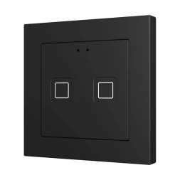 Выключатель Zennio Tecla RGB 55 X2 (ZVITR55X2A) (Антрацит)